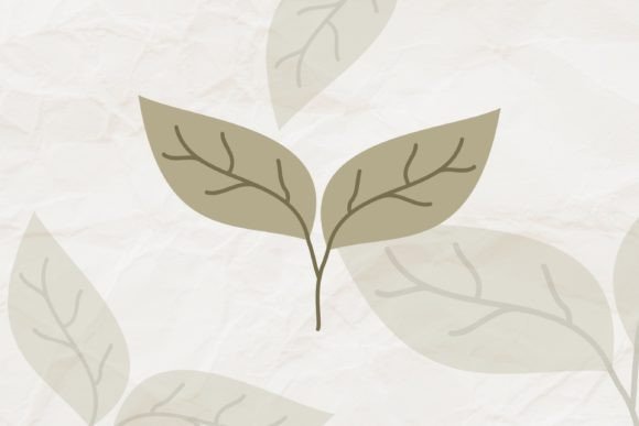 Floral, Leaf Vector, Flower Clipart SVG