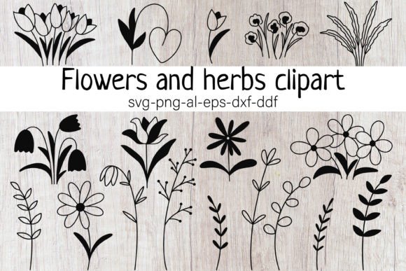 Wild Flowers and Herbs Clipart Set SVG